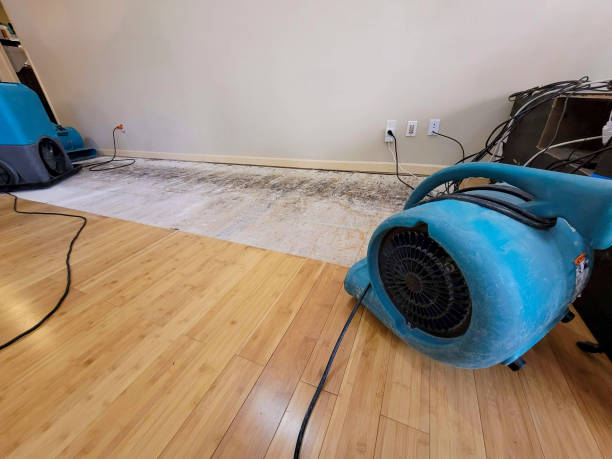 Reliable Sewage Cleanup contractor in North Fork, CA by Hirex Water Damage